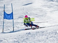 国乒包揽WTT大满贯五冠 马龙、孙颖莎领衔展现统治力