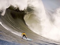 英超争冠格局生变，枪城双雄夹缝中，蓝狮悄然亮獠牙