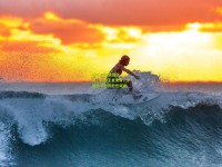 UFC 300震撼落幕，新旧王者交替，中国选手创历史性突破