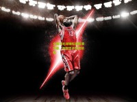 全国羽毛球锦标赛圆满落幕，新锐选手表现抢眼