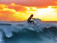 单外援力克深圳稳居联赛榜首 广厦展现冠军气质