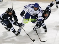 混合泳新星闪耀全国锦标赛，破纪录表现引爆泳坛热议