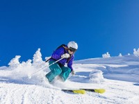 F1大奖赛西班牙站，维斯塔潘强势夺冠，红牛车队延续统治地位