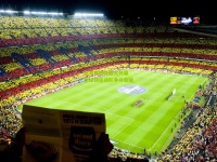 电竞世界杯盛大开幕 全球顶尖战队争夺荣耀